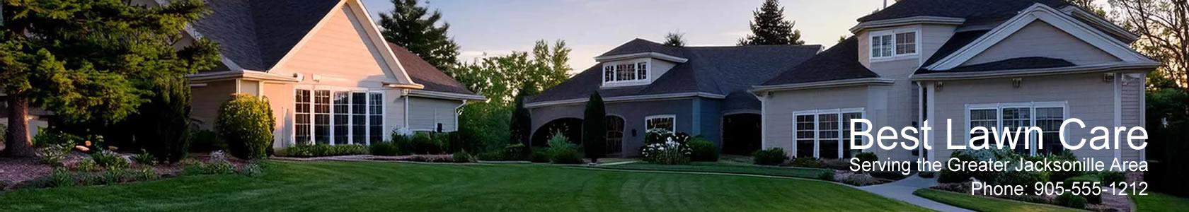 cheap lawncare websites
